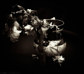 Lustreware and Sweet Peas 2008, Archival pigment print
